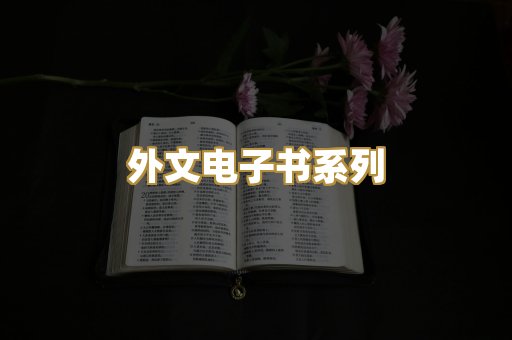 外文电子书系列